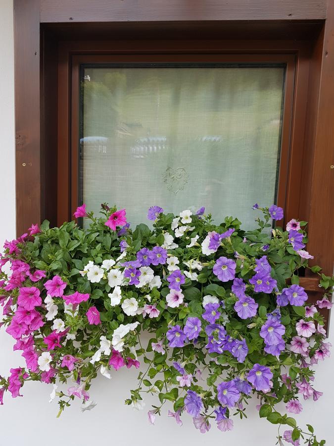 Debra Park Hotel موينا المظهر الخارجي الصورة